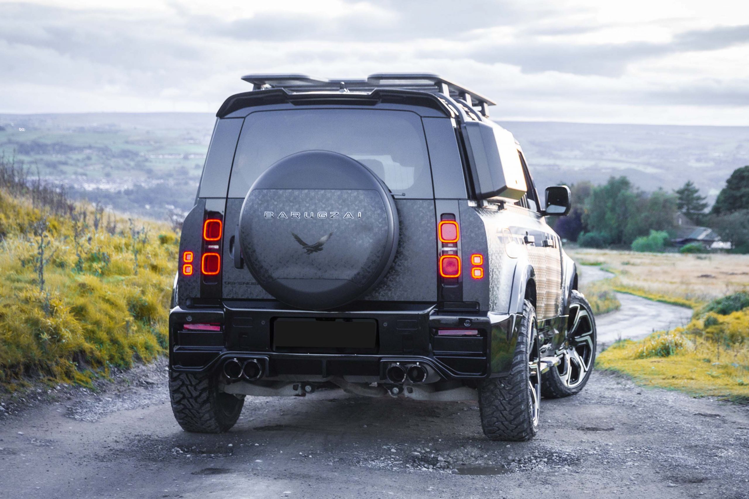 DEFENDER 110 FALCON - Rear view copy
